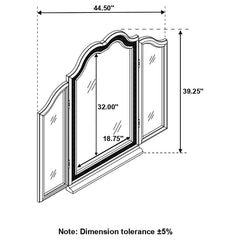 Evangeline Silver Vanity Mirror - furniture place usa
