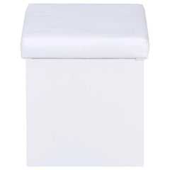 Harvey White Vanity Table & Mirror - furniture place usa