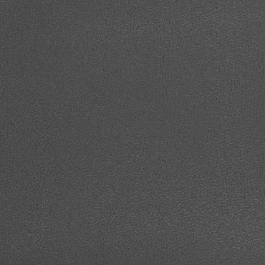 Ximena Grey Office Chair - furniture place usa