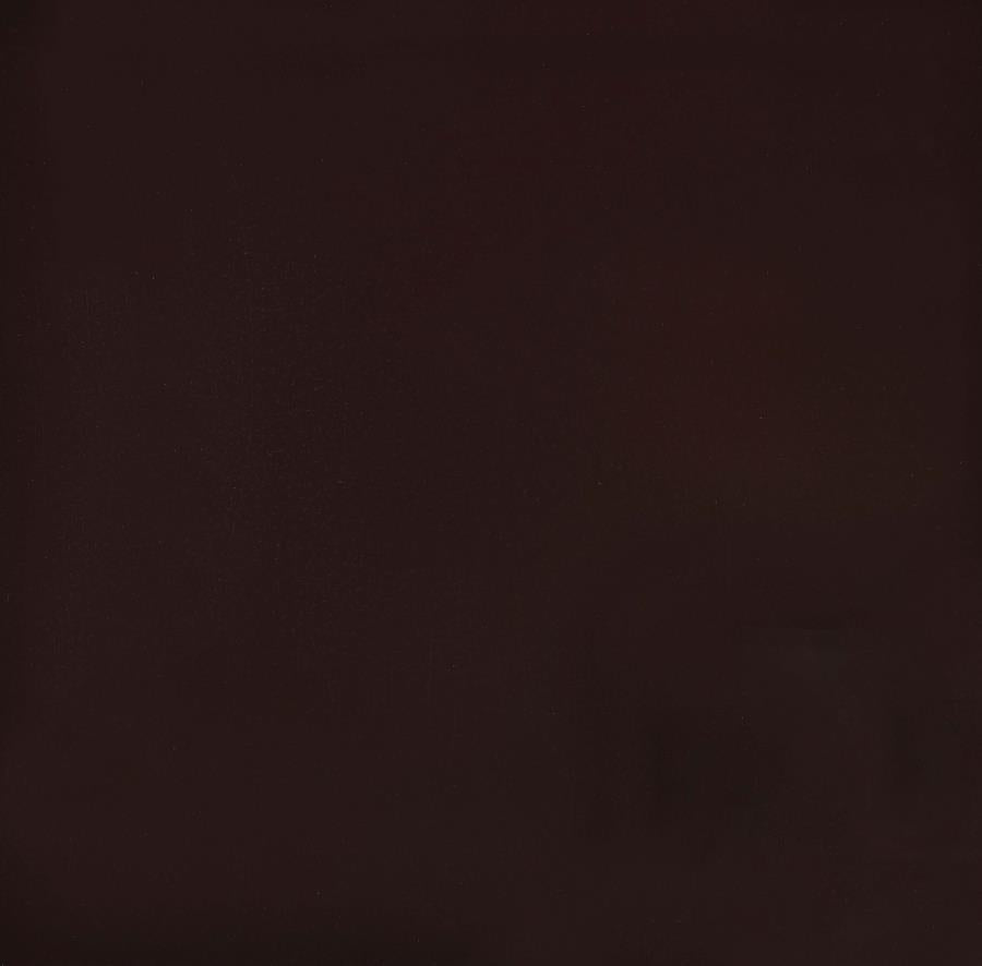 Poppy Brown Corner Bookcase - furniture place usa