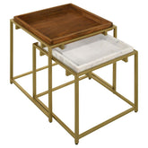 Bolden Gold 2 Pc Nesting Table - furniture place usa