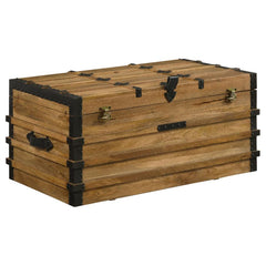 Simmons Brown Storage Trunk - furniture place usa