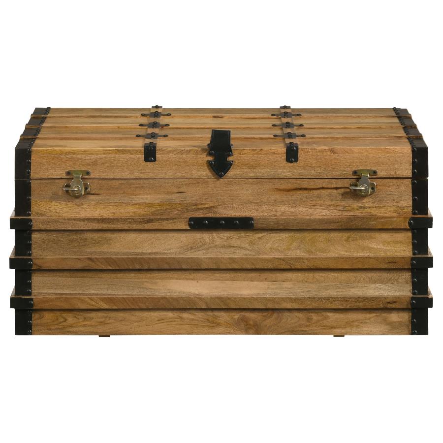 Simmons Brown Storage Trunk - furniture place usa