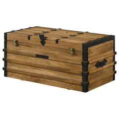 Simmons Brown Storage Trunk - furniture place usa