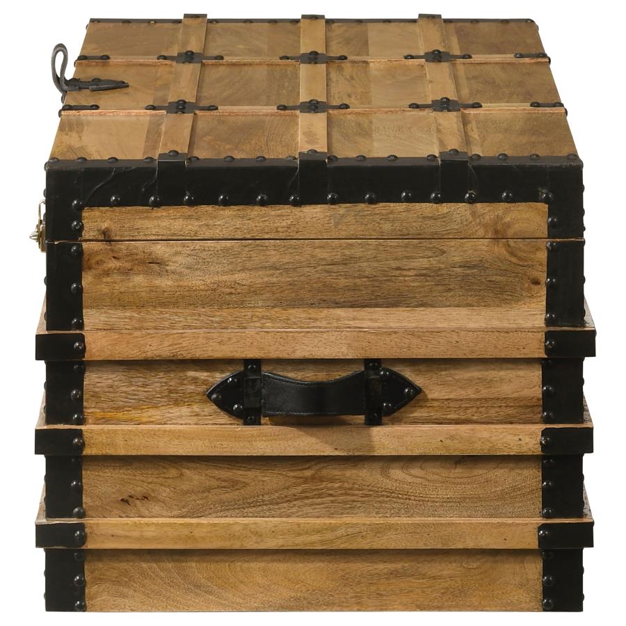 Simmons Brown Storage Trunk - furniture place usa