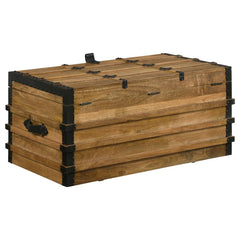 Simmons Brown Storage Trunk - furniture place usa