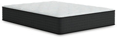 Palisades Firm Twin Mattress - furniture place usa