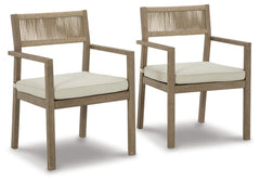 Aria Plains Arm Chair with Cushion (Set of 2) - furniture place usa