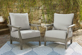 Visola Lounge Chair with Cushion (Set of 2) - furniture place usa