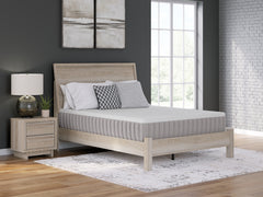 Terra Sleep Medium Queen Mattress