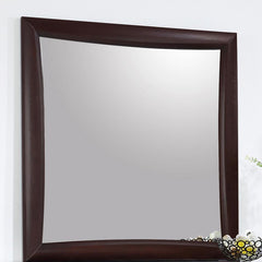 Phoenix Brown Dresser Mirror - furniture place usa