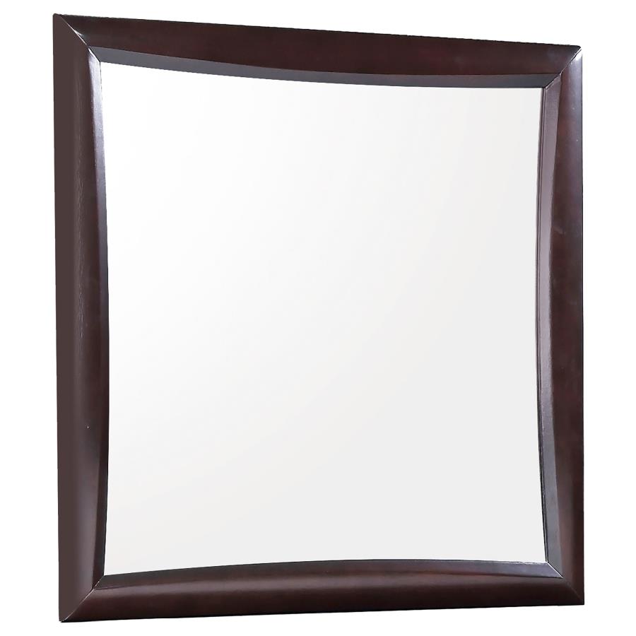 Phoenix Brown Dresser Mirror - furniture place usa