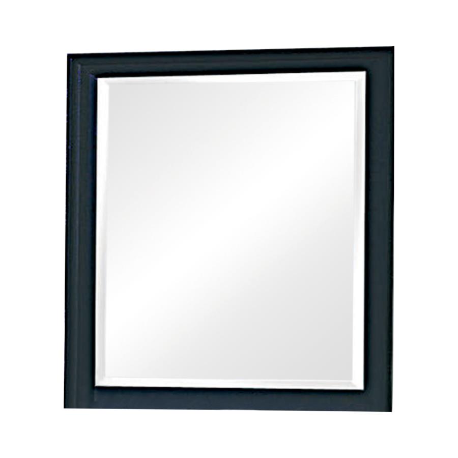 Sandy Beach Black Dresser Mirror - furniture place usa