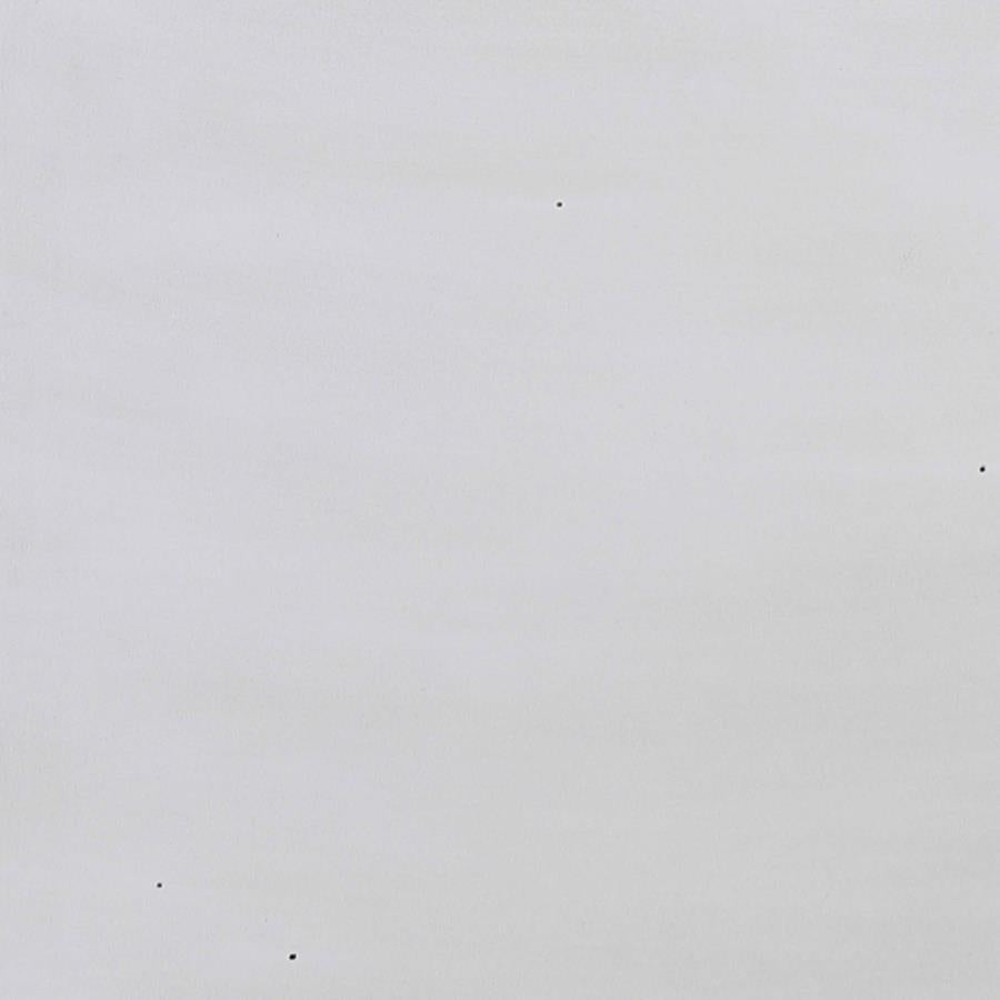 Hillcrest Ivory Chest - furniture place usa