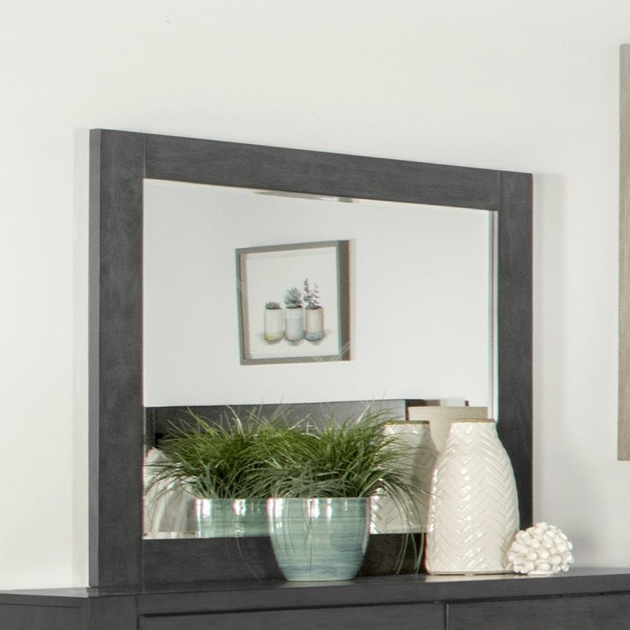 Lorenzo Grey Dresser Mirror - furniture place usa