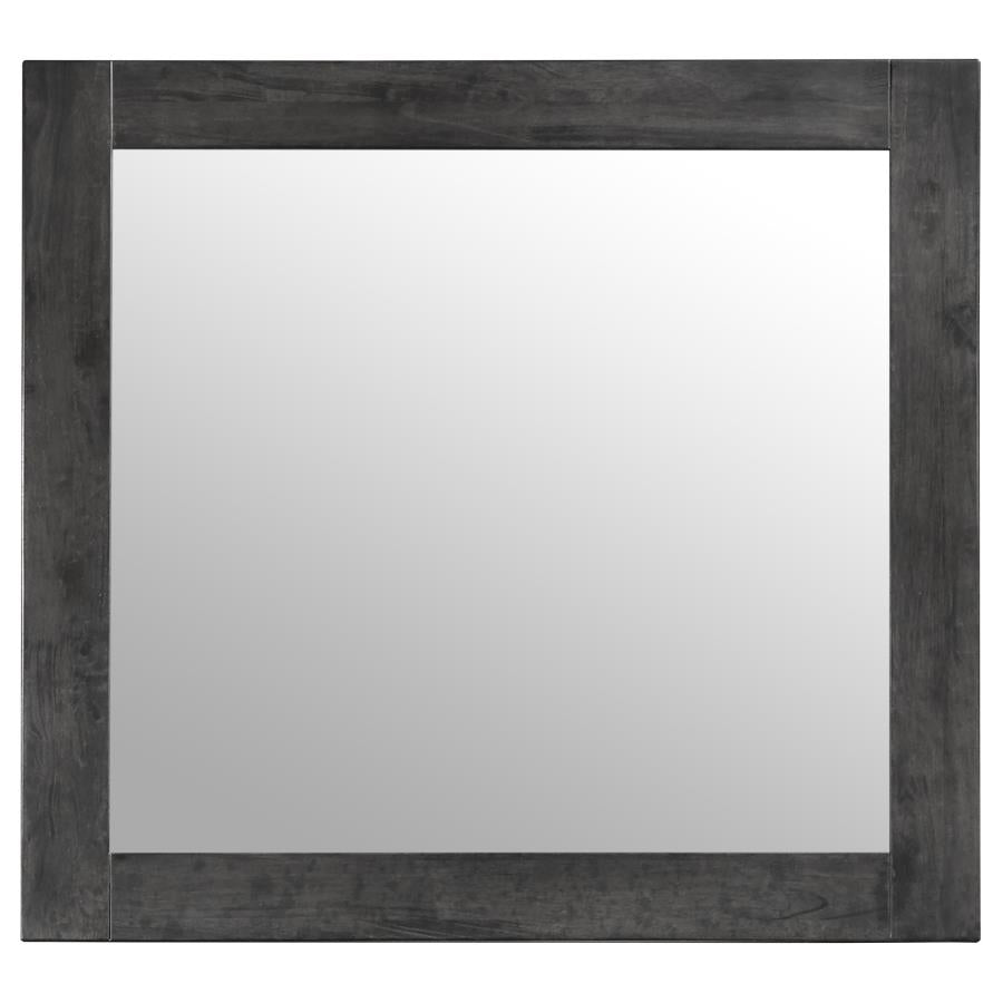 Lorenzo Grey Dresser Mirror - furniture place usa