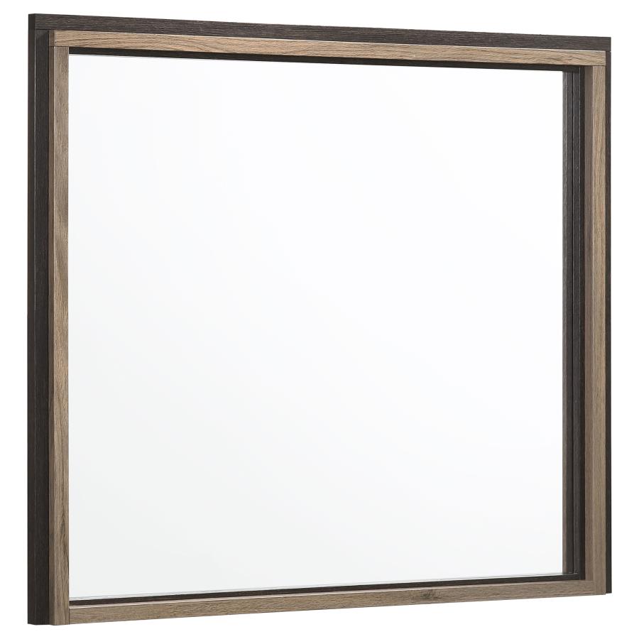 Baker Brown Dresser Mirror - furniture place usa