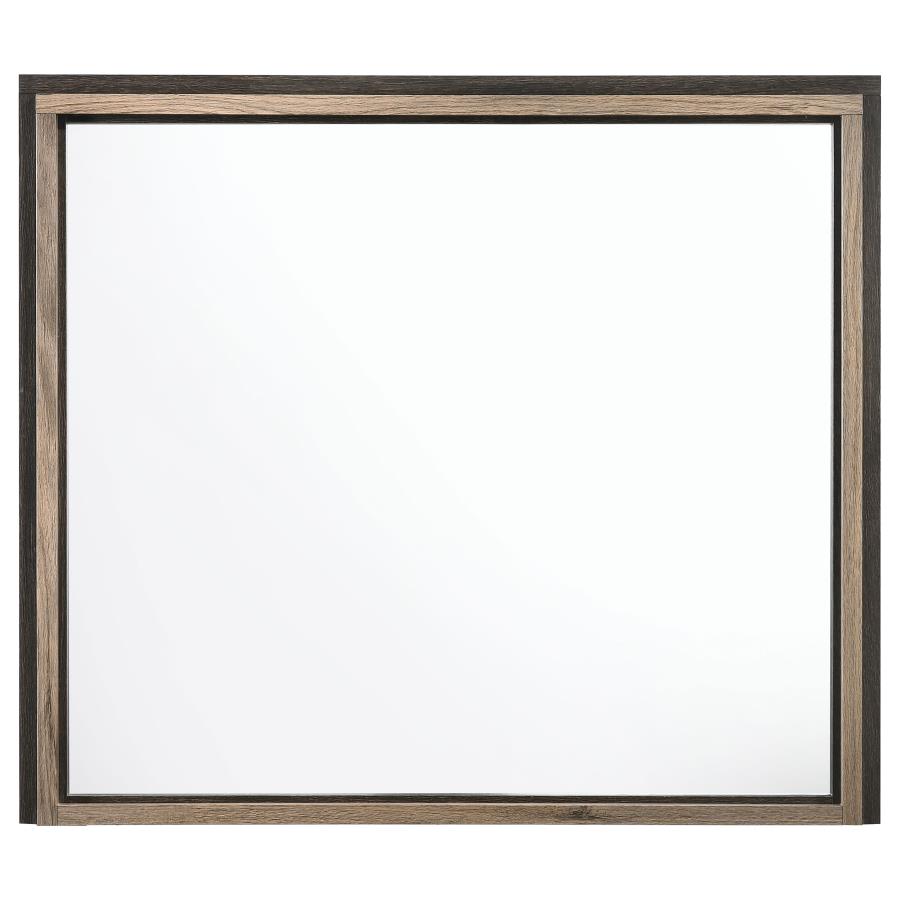 Baker Brown Dresser Mirror - furniture place usa