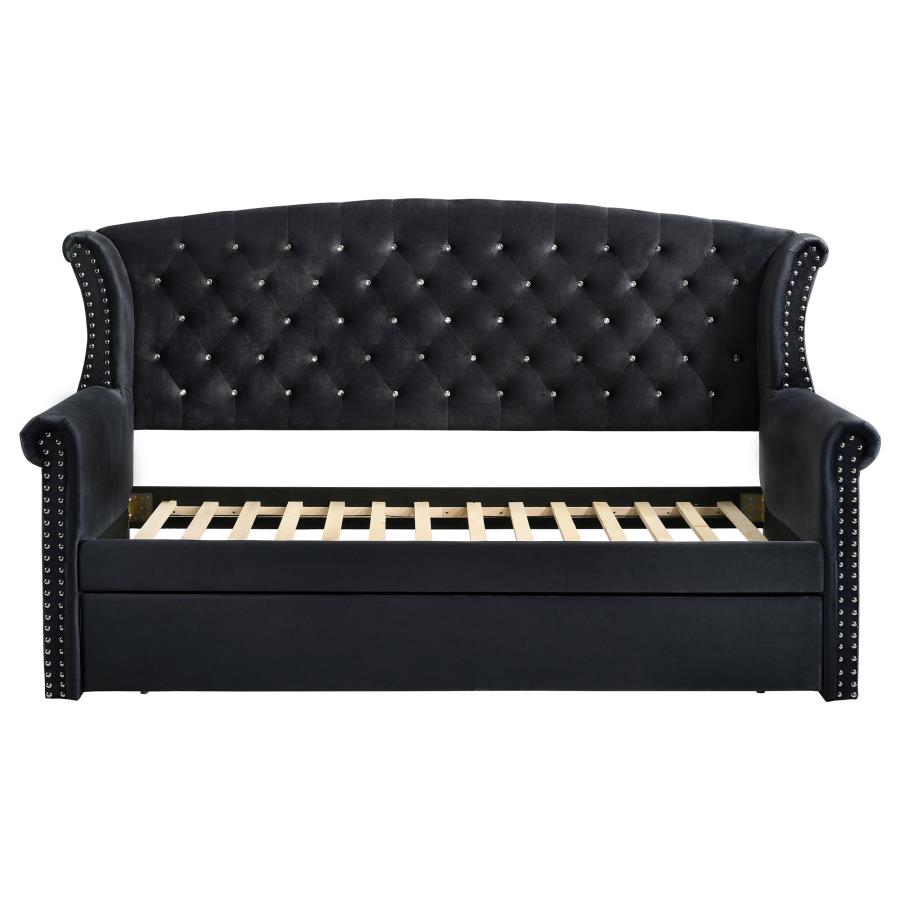 Scarlett Black Twin Daybed W/ Trundle