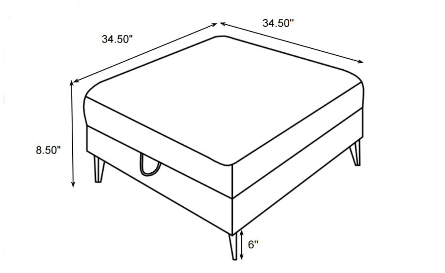 Clint Multi Storage Ottoman - furniture place usa