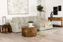 Blaine Beige Sectional - furniture place usa