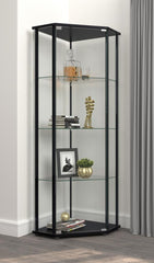 Zenobia Black Curio Cabinet - furniture place usa