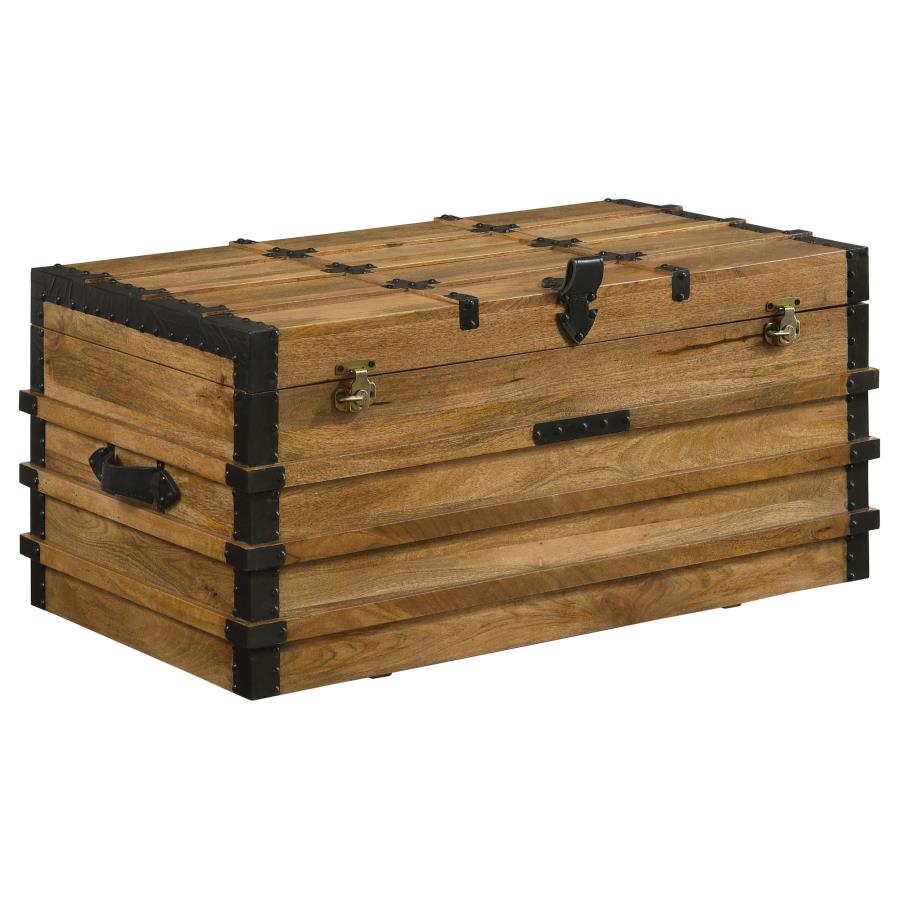 Simmons Brown Storage Trunk - furniture place usa