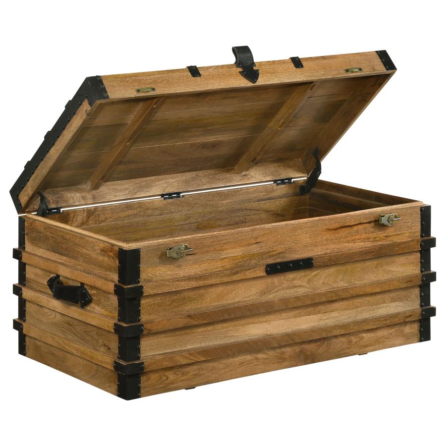 Simmons Brown Storage Trunk - furniture place usa
