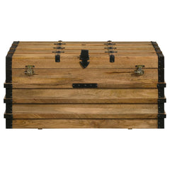 Simmons Brown Storage Trunk - furniture place usa
