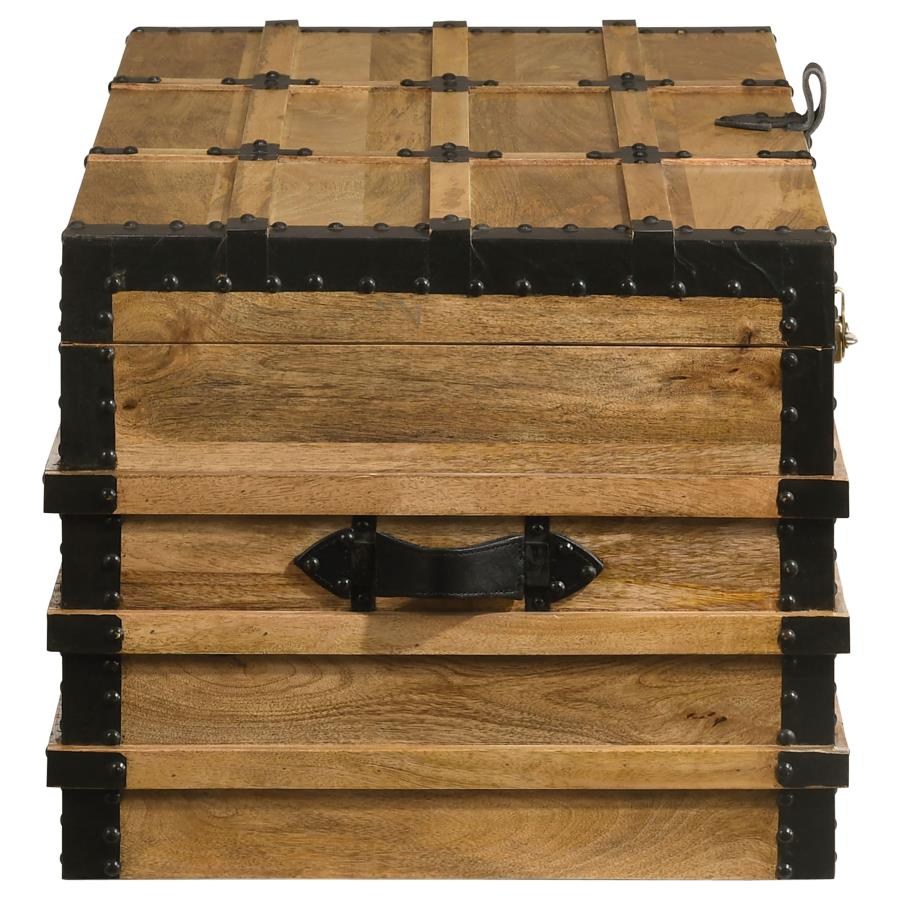 Simmons Brown Storage Trunk - furniture place usa