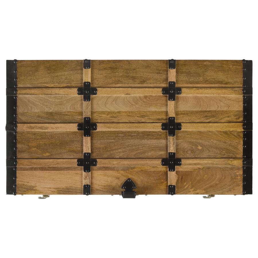 Simmons Brown Storage Trunk - furniture place usa