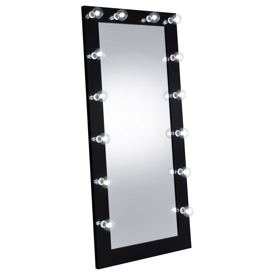 Zayan Black Floor Mirror - furniture place usa