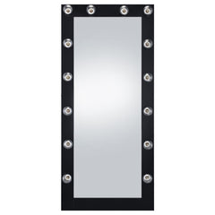 Zayan Black Floor Mirror - furniture place usa