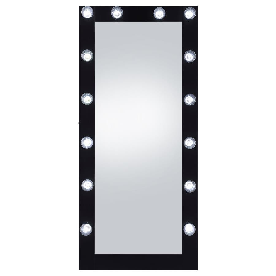 Zayan Black Floor Mirror - furniture place usa