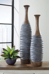Blayze Vase (Set of 2) - furniture place usa