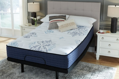 Bonita Springs Plush Queen Mattress with Better than a Boxspring Queen Foundation - furniture place usa