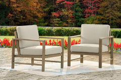 Fynnegan Lounge Chair with Cushion (Set of 2) - furniture place usa