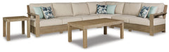 Silo Point 4-Piece Outdoor Sectional with Coffee Table and End Table - furniture place usa